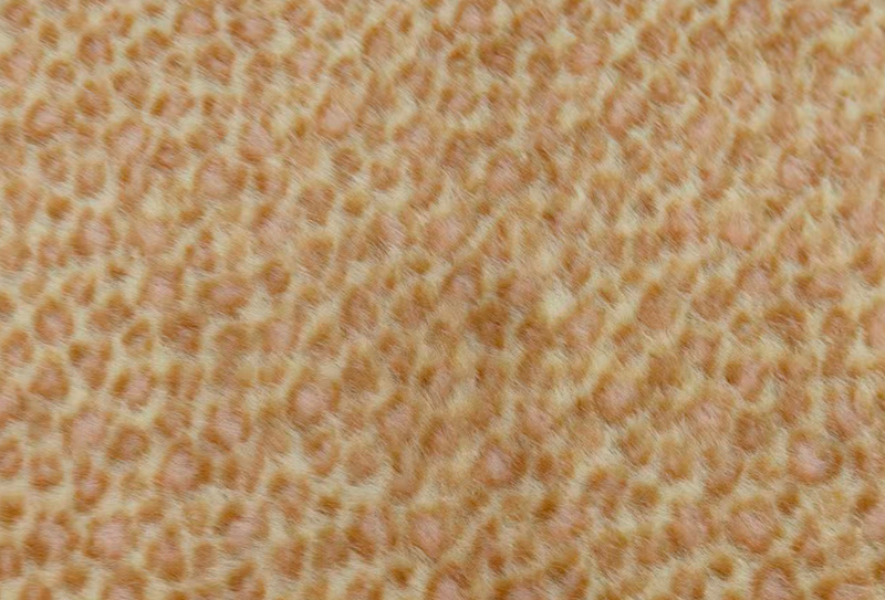 160 mm brett europeiskt minktryck leopardmönstrat fuskminktyg 160 mm brett europeiskt minktryck leopardmönstrat fuskminktyg
